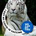 Sharon Garrity - Facebook