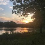 Sharon Garrity-Hall - @garrityhall - Instagram