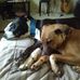 Sharon Gathright - Facebook
