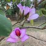 Sharon Geib - @sgeib16 - Instagram