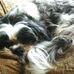 Sharon Geist - Facebook