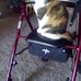 Sharon Geist - Facebook