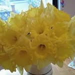 Sharon Gerhard - @sharon.gerhard - Instagram