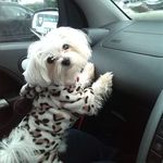 Sharon Gibney - @sharon.noonan.372 - Instagram