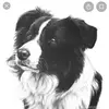 Sharon Gillard - @shar.got.stav8 - TikTok