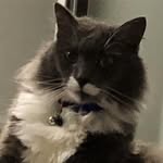 Sharon Gillard Scanlon - @sharong245 - Instagram