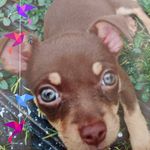 Sharon Hunt - @sharon_gilley - Instagram