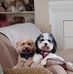 Sharon Ginter - Facebook