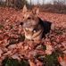 Sharron Gleason - Facebook