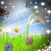Sharon Glynn - Facebook