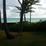 Sharon Glynn - @sharon.glynn.58 - Instagram
