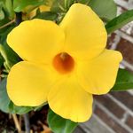 Sharon Gooden - @sgooden1946 - Instagram