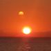Sharon Gooden - Facebook