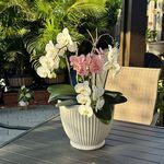 Sharon Gooden Mais - @romais50 - Instagram