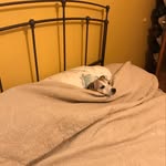Sharon Vincent Goodfellow - @sharonvgoodfellow - Instagram