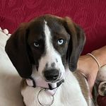 Sharon Gorman - @sharon.gorman4 - Instagram