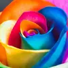 Sharon Gowers - @sharongowers - TikTok