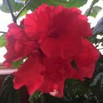 Sharon Grabill - @s.k.grabill - Instagram