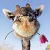 Sharon Walburg Grabill - Facebook