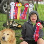 Sharon Gratton - @jujuthegoldenretriever - Instagram