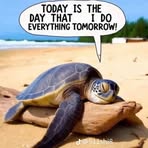 Sharon Gray - Facebook