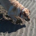 Sharon Gray - @sharon.gray45 - Instagram