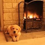 Sharon Gray - @sharongray1511 - Instagram