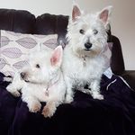 Sharon Grayson - @sharon.g76 - Instagram