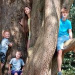 Sharon Gregson - @sharon.gregson.58 - Instagram