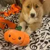 Sharon Greif - @sharon.greif1 - TikTok