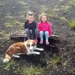 Sharon guinan - @sharonguinan - Instagram