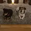 sharonguinanmurph - @sharonguinanmurph - TikTok