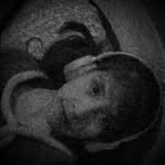 Guisell Sharon - @guisellsharon - Instagram