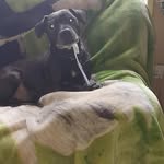 Sharon Gunning - @sharon.gunning.399 - Instagram