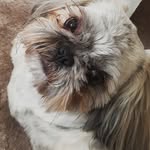 Sharon Gunning - @baking_queen24 - Instagram