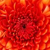 Sharon Gunther761 - @sharongunther761 - TikTok