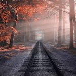 Sharon Gunther - @sharon_gunther87405999 - Instagram