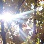 Sharon Hackman - Facebook