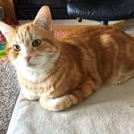 Sharon Hallberg - @sharonhallberg - Instagram