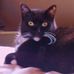 Sharon Haluska - Facebook