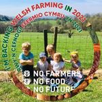 Sharon Hammond - @sharon.hammond.7161 - Instagram