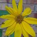 Sharon Hammond - Facebook