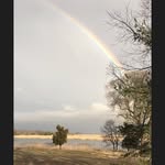 Sharon Hamrick Dare - @percyblew - Instagram