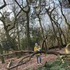 Sharon Handley648 - @sharonhandley5 - TikTok