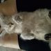 Sharon Handley - Facebook