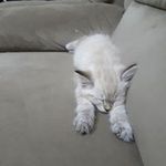 Sharon Handley - @sharon.handley.67 - Instagram