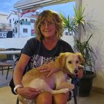 Sharon Handley - @shazhandley - Instagram