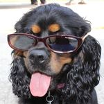 Sharon Dolbow Handy - @manatee0463 - Instagram