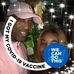 Sharon Handy - Facebook