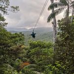 Sharon Handy - @sharon.handy.71 - Instagram